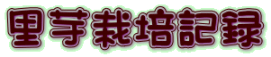 里芋栽培記録
