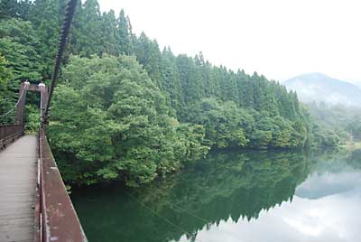 遊歩道は大源太湖の吊り橋を渡った先にあります。