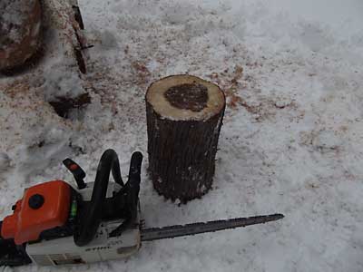 この杉の丸太を使います。