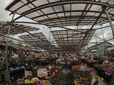 花と野菜の苗売り場は、大賑わいでした。
