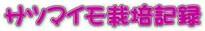 サツマイモ栽培記録