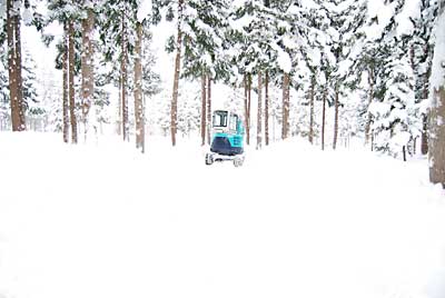 今日は、行者ニンニク畑の除雪をしました。