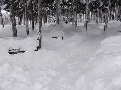 他の薪棚は昨日ユンボで雪を落としました。