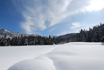 それにしても快晴の大源太の雪景色はきれいです。