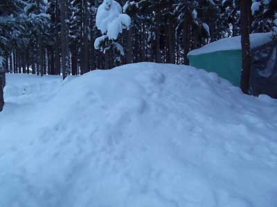 ユンボ小屋の裏の雪室も雪が満杯になりました。