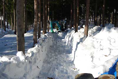 先日、途中で中止した行者ニンニクの畑の除雪もしました。