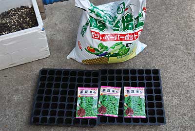 耕耘が終わってから枝豆の種を播きました。