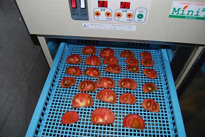 市販のトマトで、乾燥の具合を実験してみることにしました。
