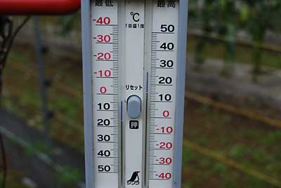 今朝の気温は、１６℃まで下がりました。