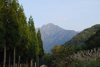 アレー、大源太山の山頂付近の紅葉が始まったようです。
