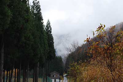 朝、寒いと思ったら大源太山の麓まで雪が降っていました。
