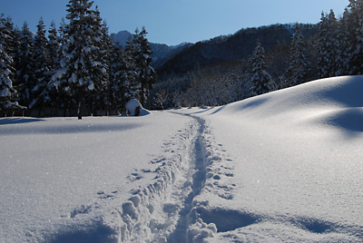 晴れた日に雪の上を歩くのはとても気持ちいいです。