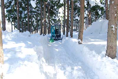 行者ニンニク畑の除雪をしました。
