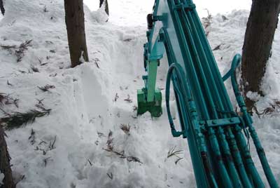 ユンボで、行者ニンニク畑の除雪をしてから行者ニンニクを掘ってきました。