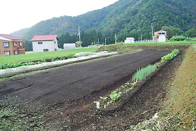 もうすぐソバの種まきをするので、その前に畑の草刈りをしました。