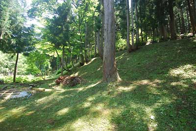 午前中は、自宅裏の堰の土手の草刈りをしました。