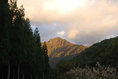 大源太山の紅葉も日々鮮やかになって来ています。