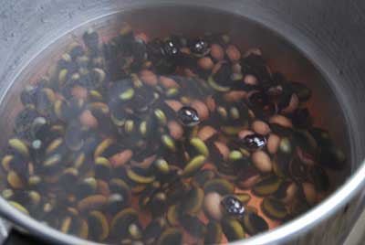 パンダ豆は、イマイチでしたが、冷やし豆（鞍掛豆）は、ちゃんと戻りました。