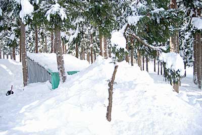ユンボ小屋の屋根の雪はスコップで掘って雪室に投入しました。
