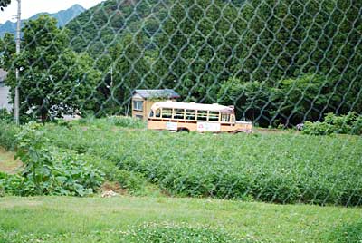 夏になると猫バスが農園の近くを走ります。
