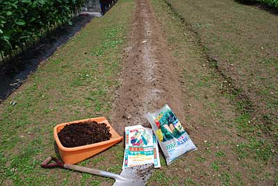 ジャガイモを掘ったあとの畝に苦土石灰３ｋｇ、化成肥料１ｋｇそして 完熟牛糞を１０ｋｇ入れました。