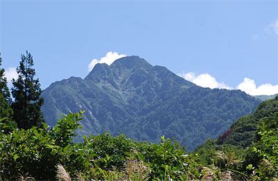 久しぶりに空気が澄んで、大源太山の山頂が見えましたよ～♪
