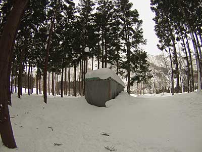 ユンボ小屋は、雪で１ｍほど埋まっていました。