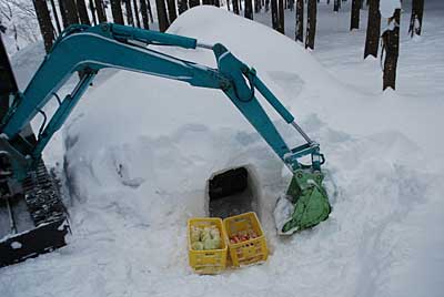 今日は、ユンボで雪室を掘ってみました。