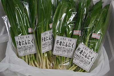 長野に保坂さんの促成栽培の行者ニンニクを買いに行ってきました。