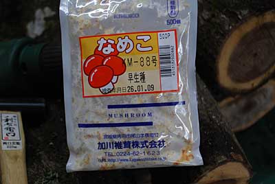 種駒は、宮城県の加川椎茸㈱さんのナメコ早稲種です。