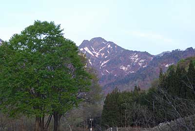 大源太山の雪もかなり消えました。