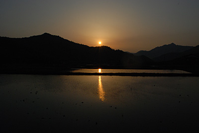 田かきが始まった田んぼに映った夕日がメッチャきれいでした。