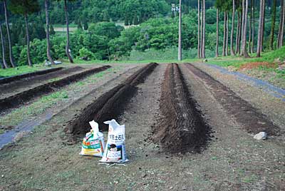 花豆畑には、苦土石灰５ｋｇと化成肥料を５ｋｇ入れました。