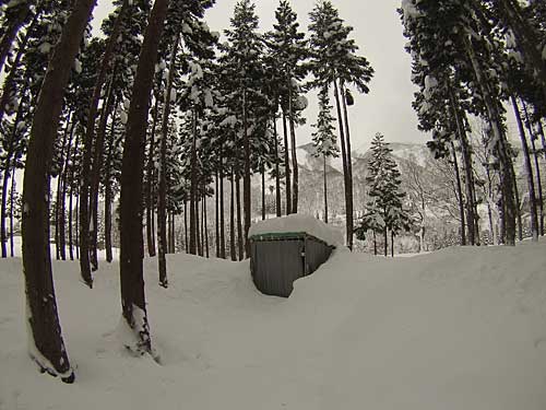 ユンボ小屋は、結構雪に埋まっていました。