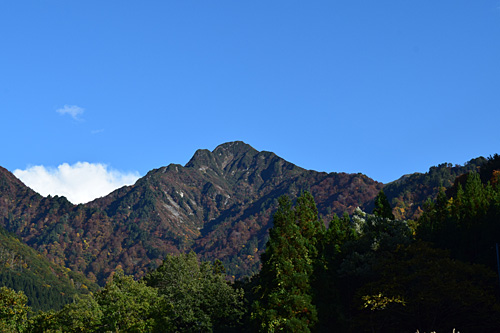 大源太山の紅葉がきれいです。