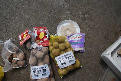 定植するジャガイモは、インカが２ｋｇ、キタアカリが３ｋｇ、男爵が３ｋｇです。