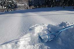 スノーダンプで除雪しました