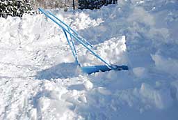 スノーダンプに雪を乗せて、雪を畑の外側に排出します