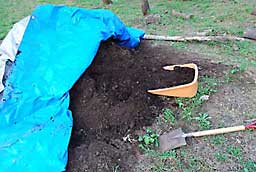 有機肥料の「モーちゃん堆肥」
