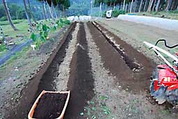 モーちゃん堆肥（有機肥料）６０ｋｇ散布