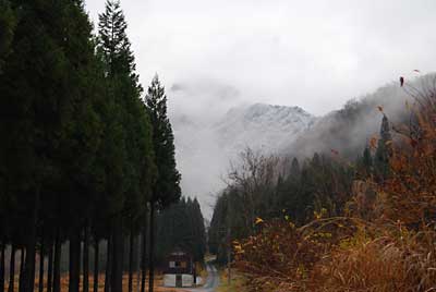 大源太山には、また雪が降りました。