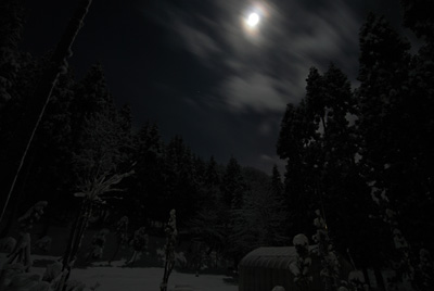 明け方、月夜明かりで、雪景色がきれいでした。