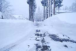 <FONT color="#000000">雪で狭くなった道路を機械除雪で広げもらいました</FONT>