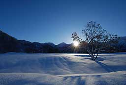 久しぶりに朝日と雪景色の写真が撮れました