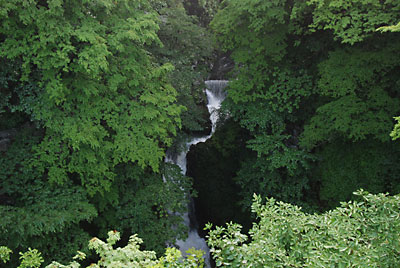 四十八滝も水量が多くて見応えがあります。