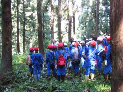 毎年、５～６年生が夏休みに行う学校林の下刈りです。