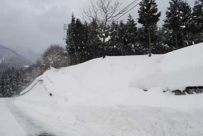 昨日、除雪した道路も一晩で雪に埋まってしまいました。トホホッ。