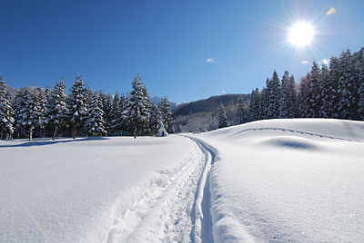 大源太の雪景色は、息をのむほどきれいです。