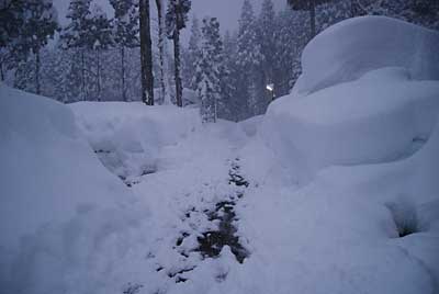 家の前の道も消雪パイプが間に合わないくらい雪で埋まっています。