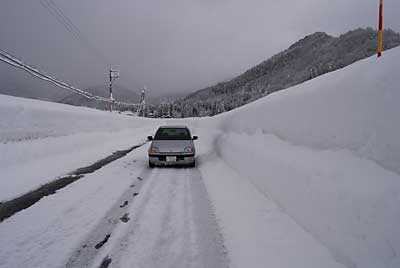 大源太の県道の雪です。